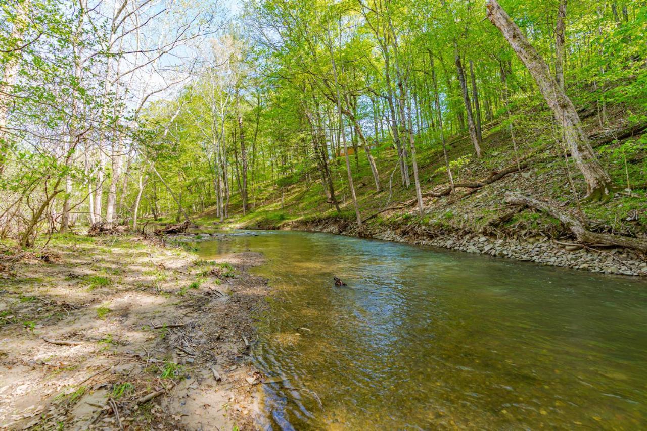 River Access Cabin With Hot Tub, Fire Pit, & Wifi! Morton Grove المظهر الخارجي الصورة